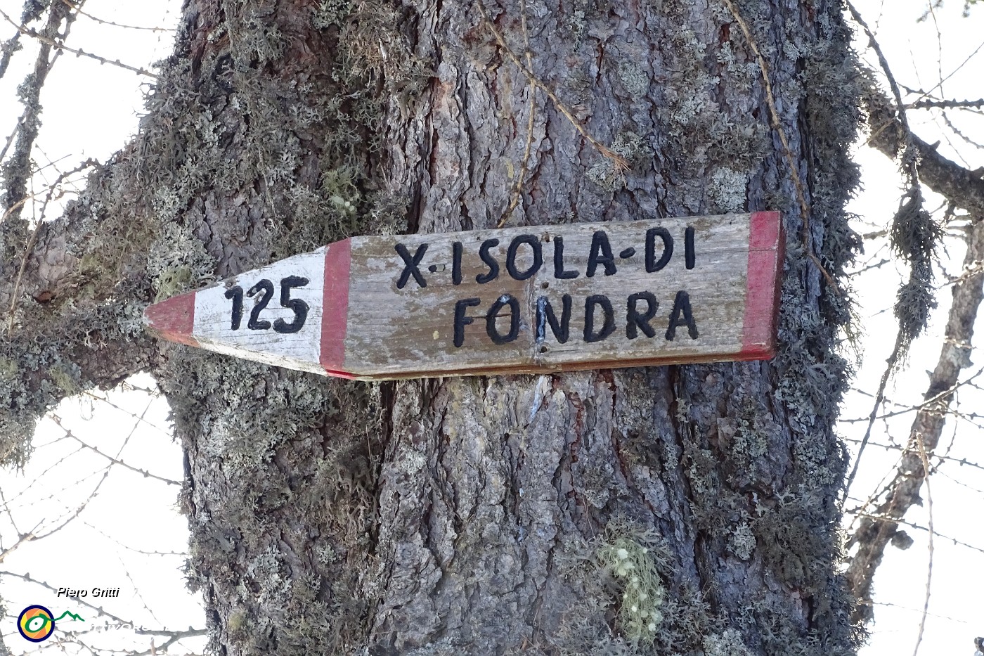 33 Qu arriva il sent. 125 che sale da Isola di Fondra.JPG